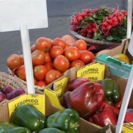 Market Vendors